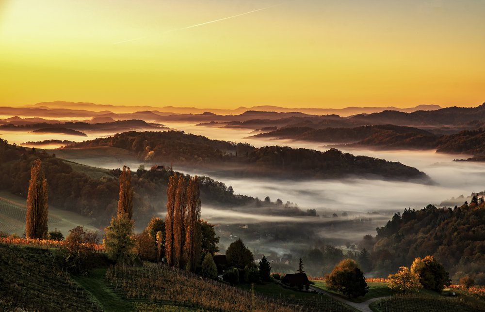 Photograph by Negru Flaviu