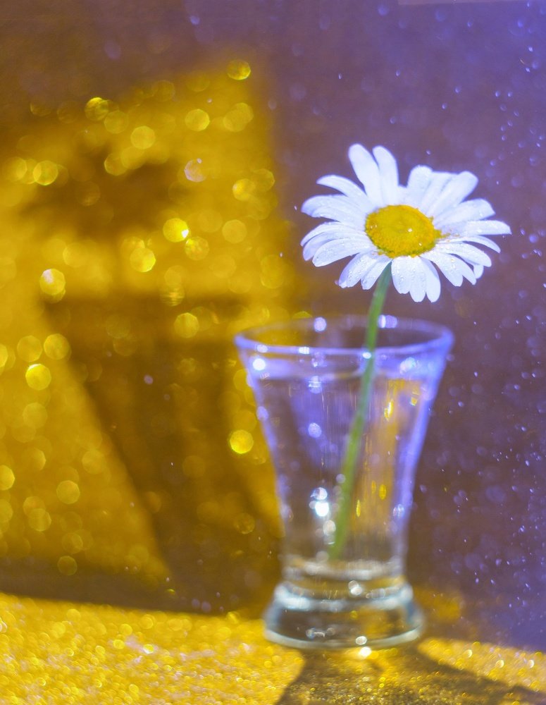 Photograph by Надежда Смелова