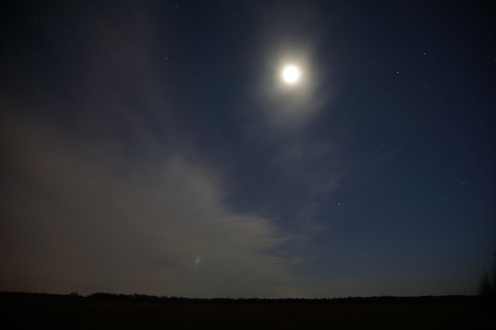 Photograph by Мария Харлашова