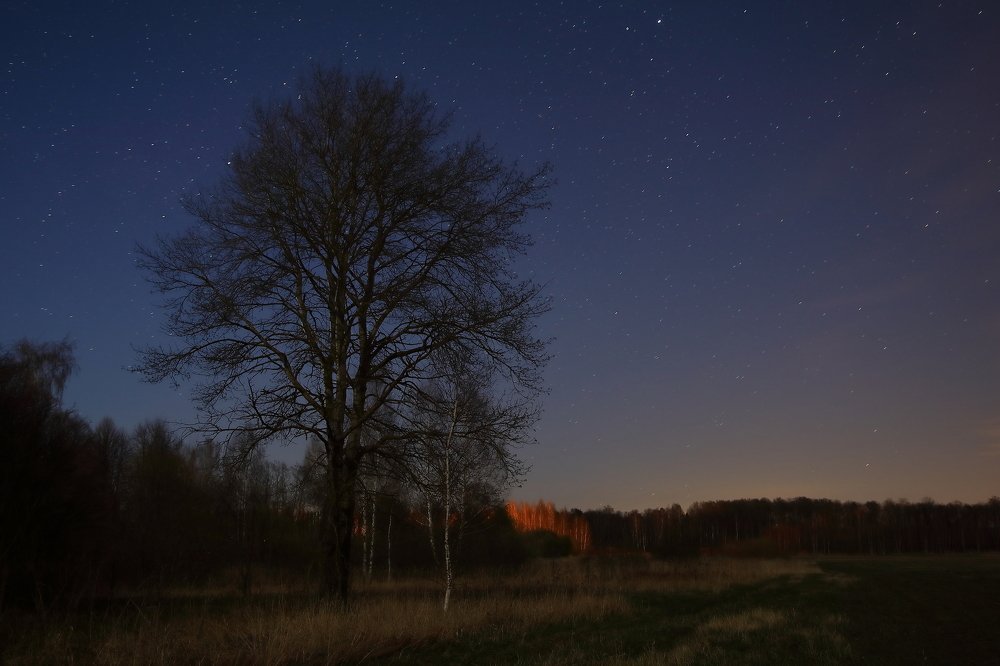 Photograph by Мария Харлашова