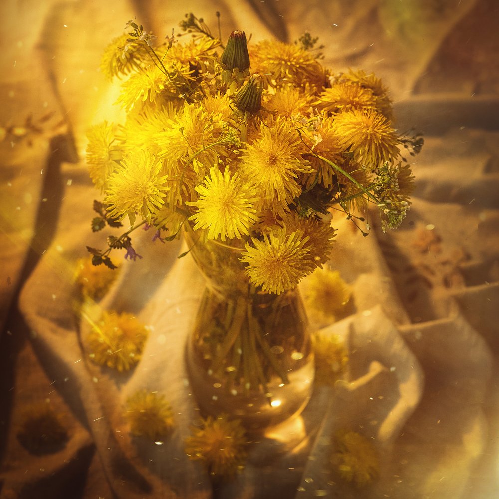 Photograph by Анна Нароженко