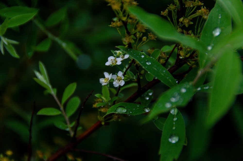 Photograph by Вадим Коробко