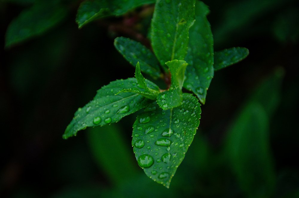 Photograph by Вадим Коробко