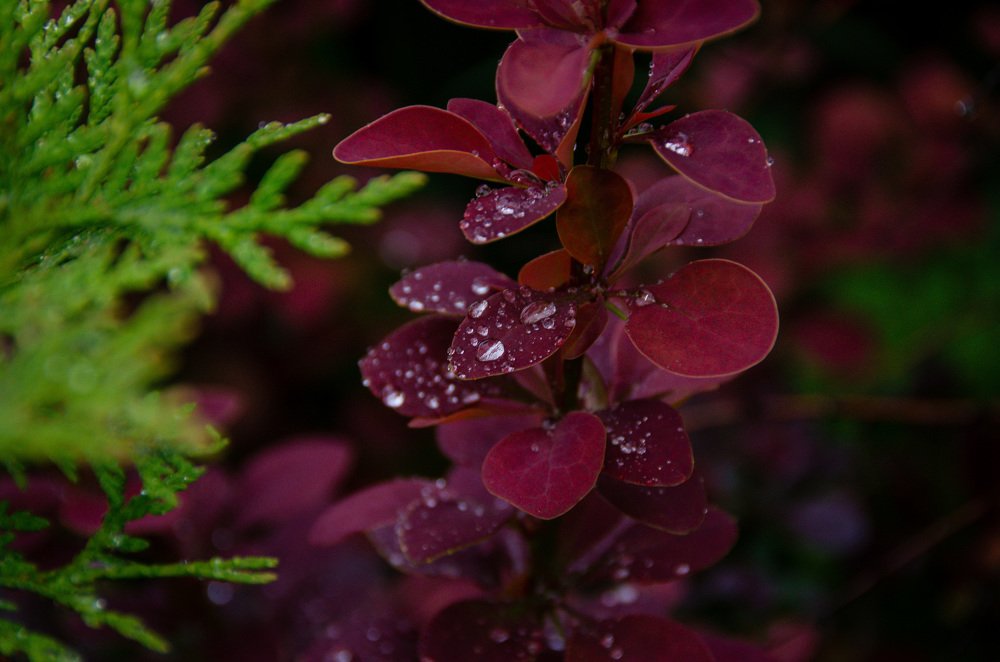 Photograph by Вадим Коробко