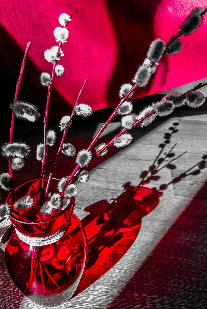 Photograph by Евгений Калагаев