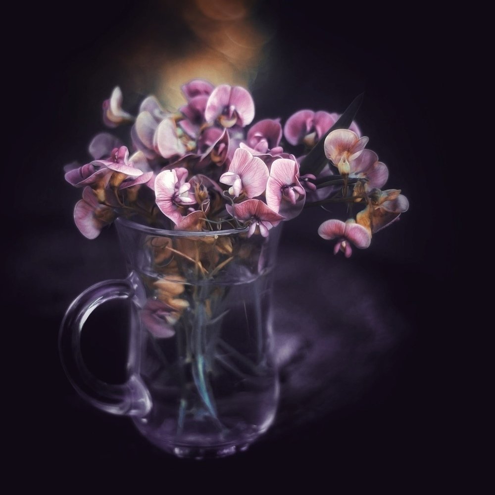 Мышиный горошек