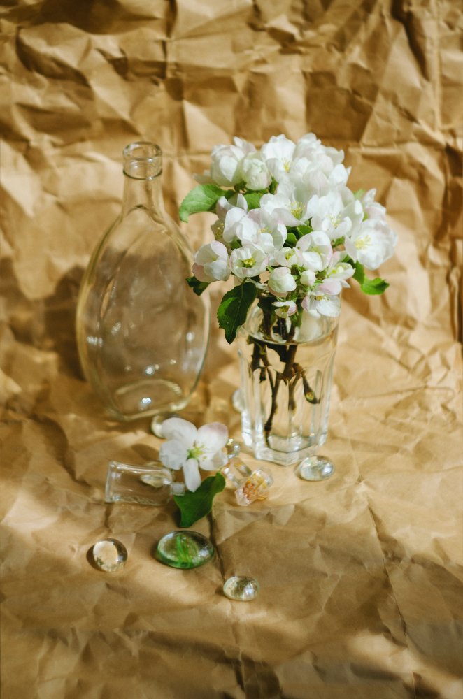 Photograph by Мария Блинова