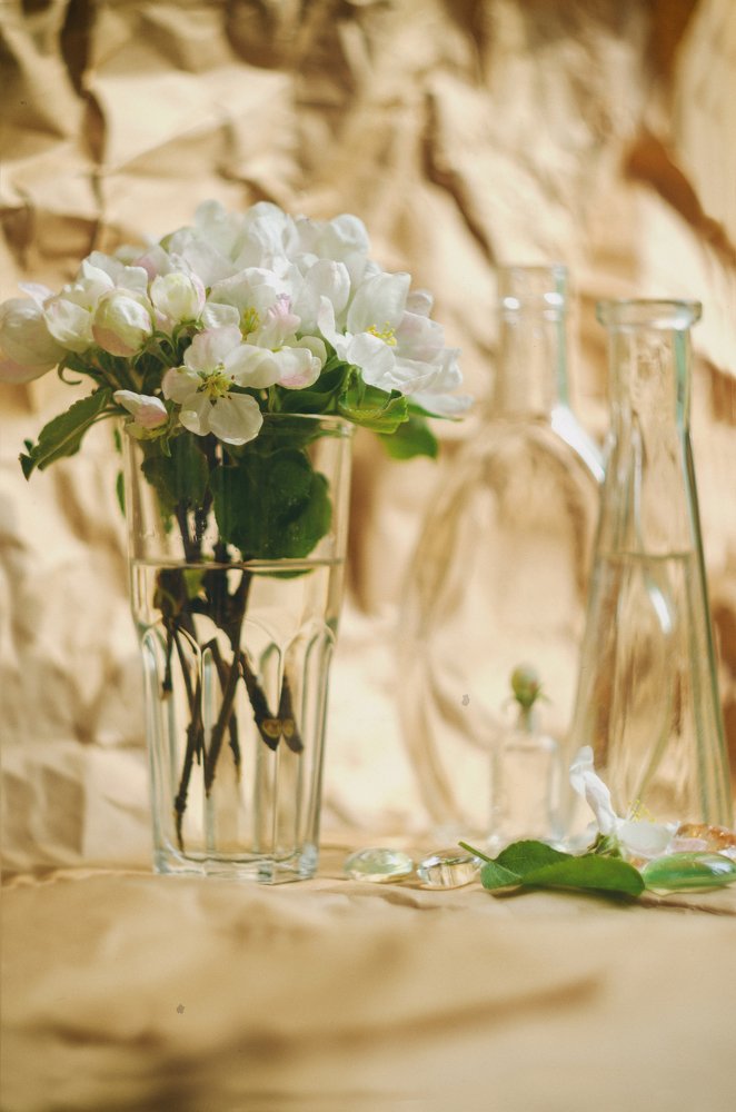 Photograph by Мария Блинова