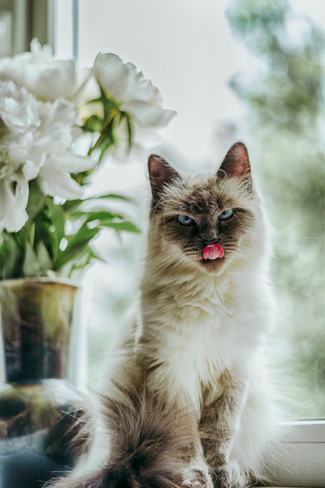 Photograph by Мария Блинова