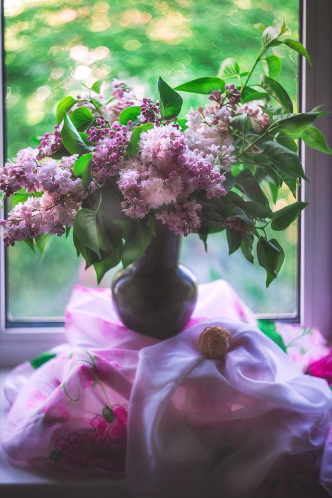 Photograph by Мария Блинова