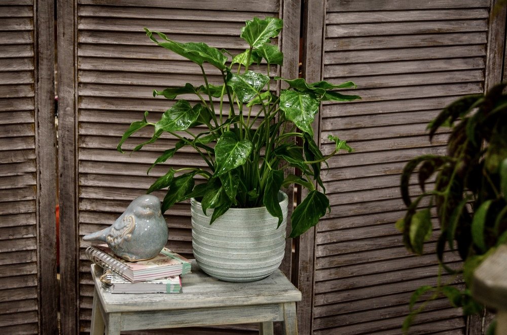 Photograph by Вадим Коробко