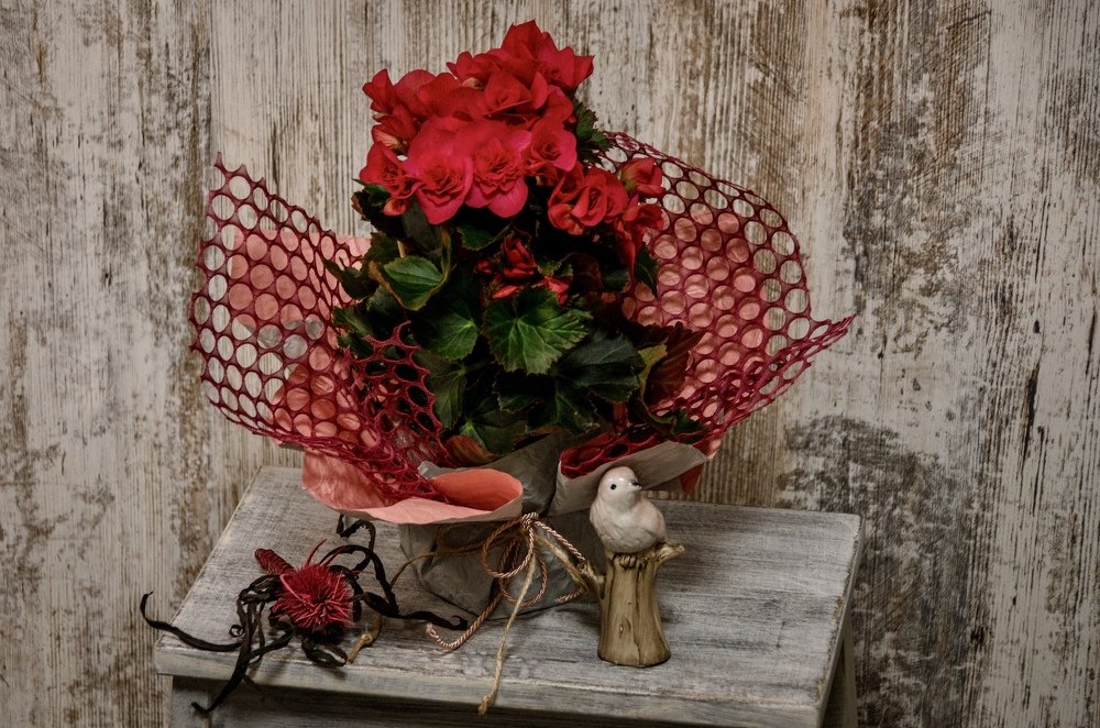 Photograph by Вадим Коробко