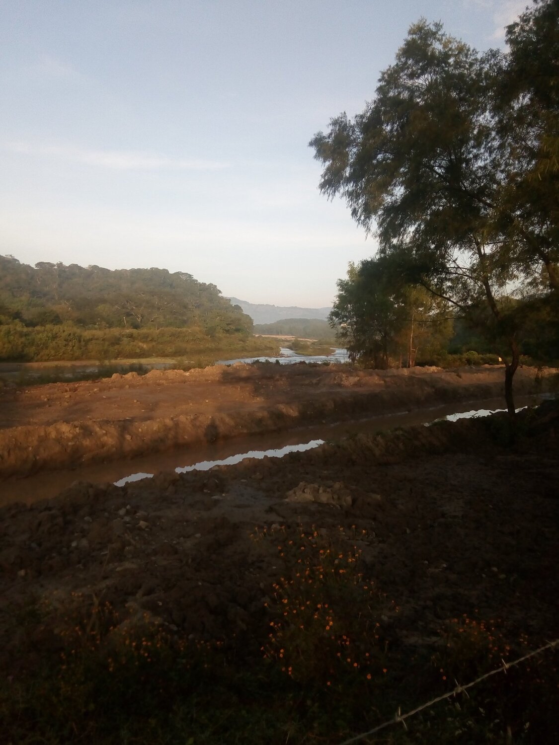 Photo #4764696