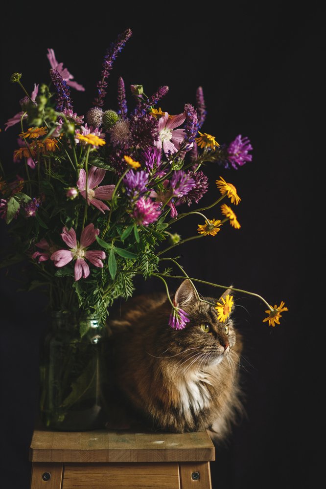 Photograph by Ирина Назарова