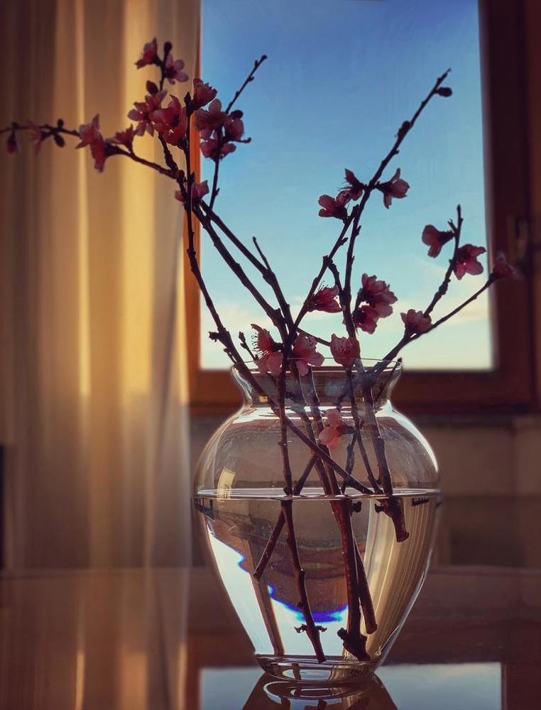 Photograph by Марина Неберекутина