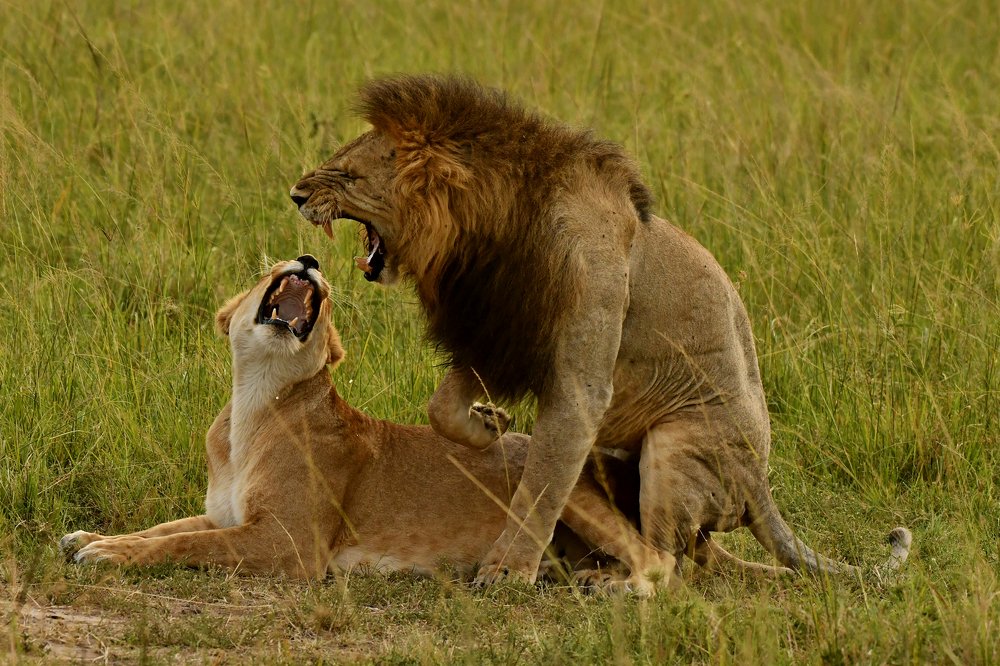 Photograph by PRASHANT VAIDYA