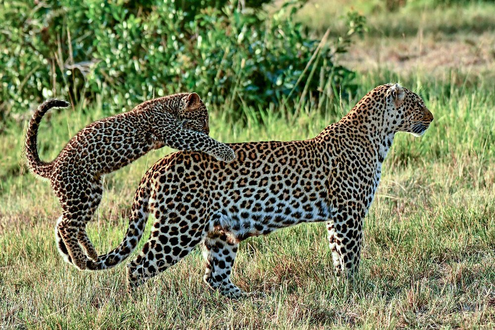 Photograph by PRASHANT VAIDYA