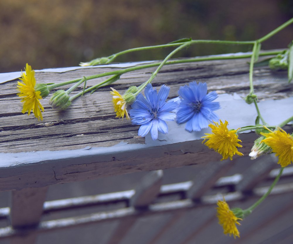 Photograph by Tatevik Tananyan