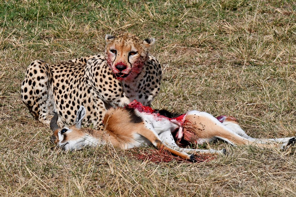 Photograph by PRASHANT VAIDYA