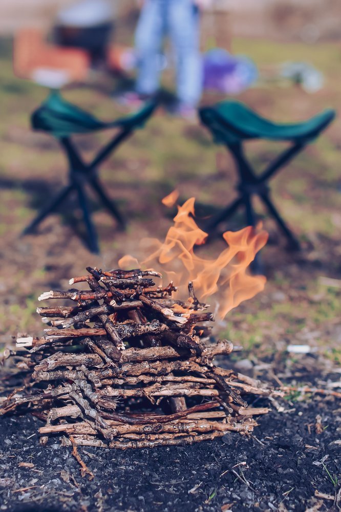 Детёныш костра