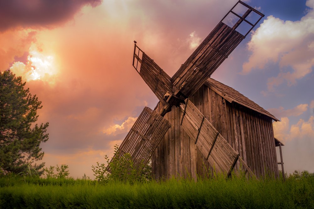 Photograph by Paul Alexe