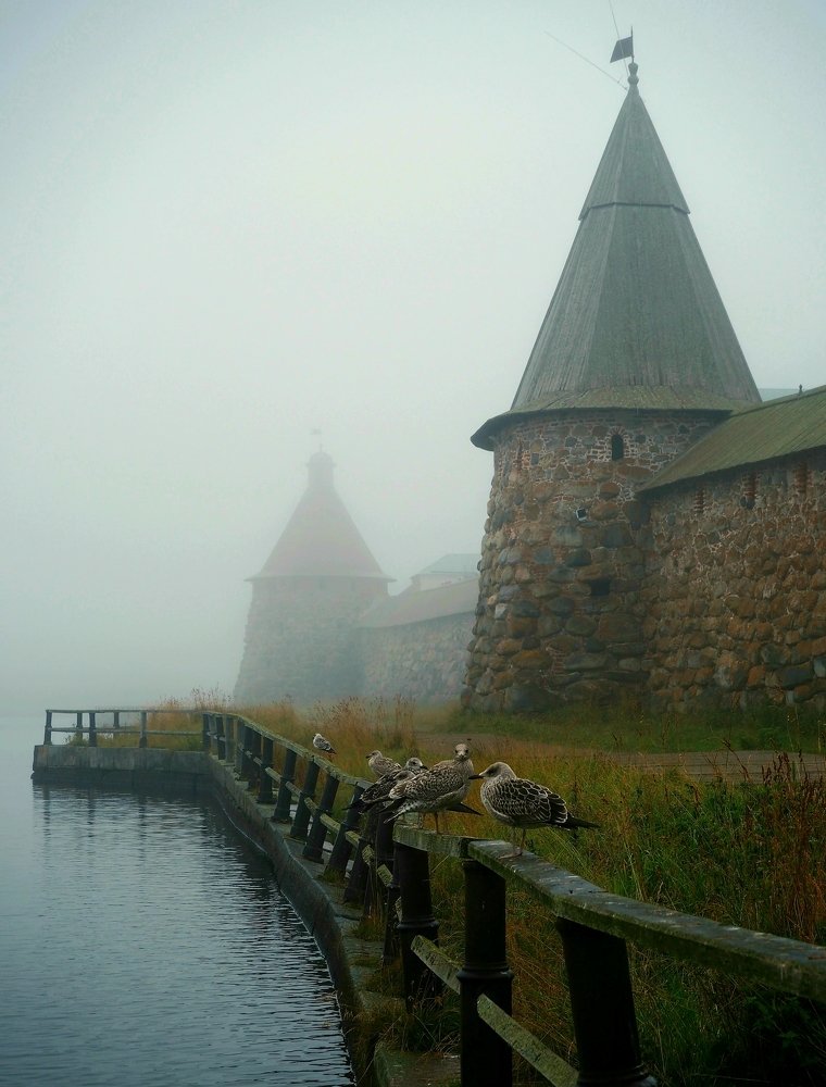 Photograph by Евгений Яковлев