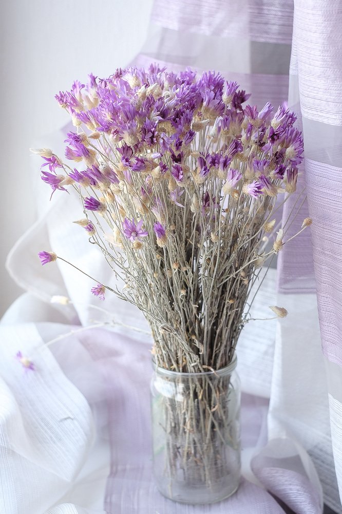 Photograph by Виктор Жулин