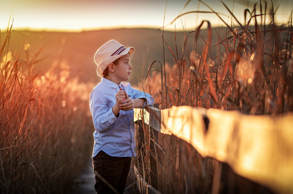 Photograph by Balog Francisc Sebastian