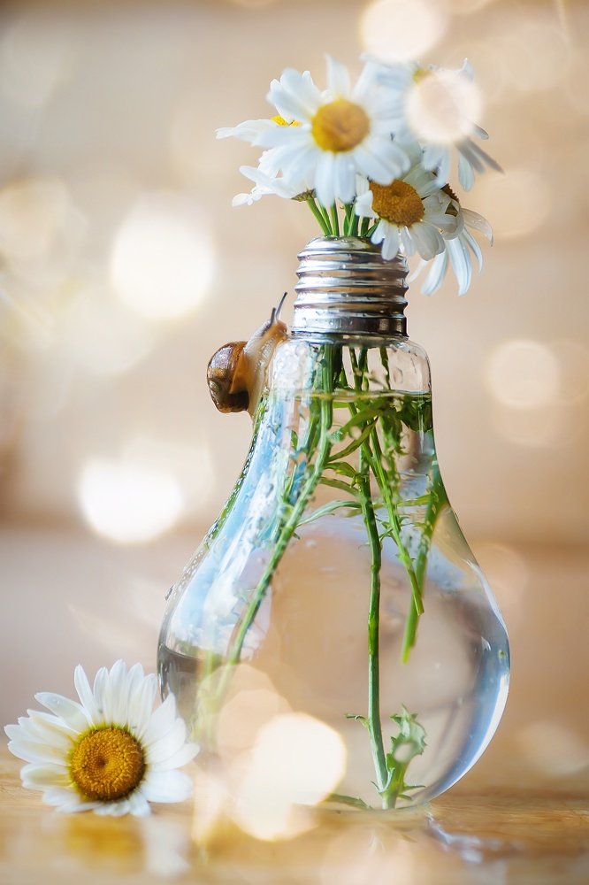 Photograph by Юлиана Джус