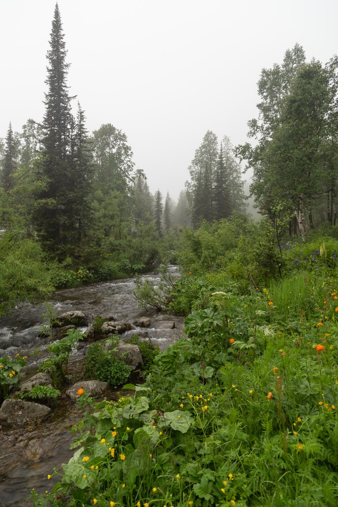 Photograph by Марина Новожилова