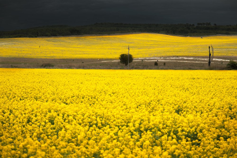 Photograph by Марта Мартынова