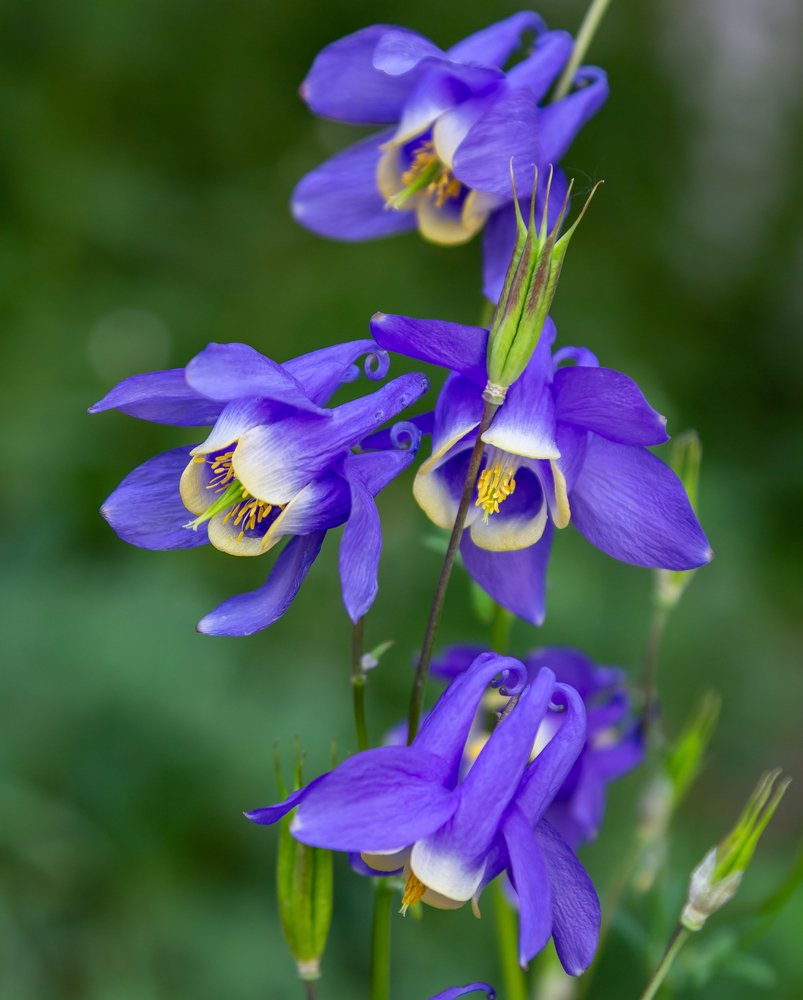 Photograph by Марина Новожилова