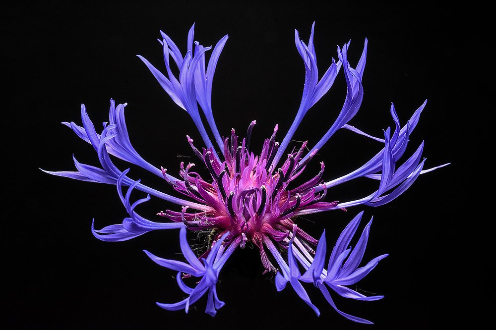 Photograph by Сергей Духанин