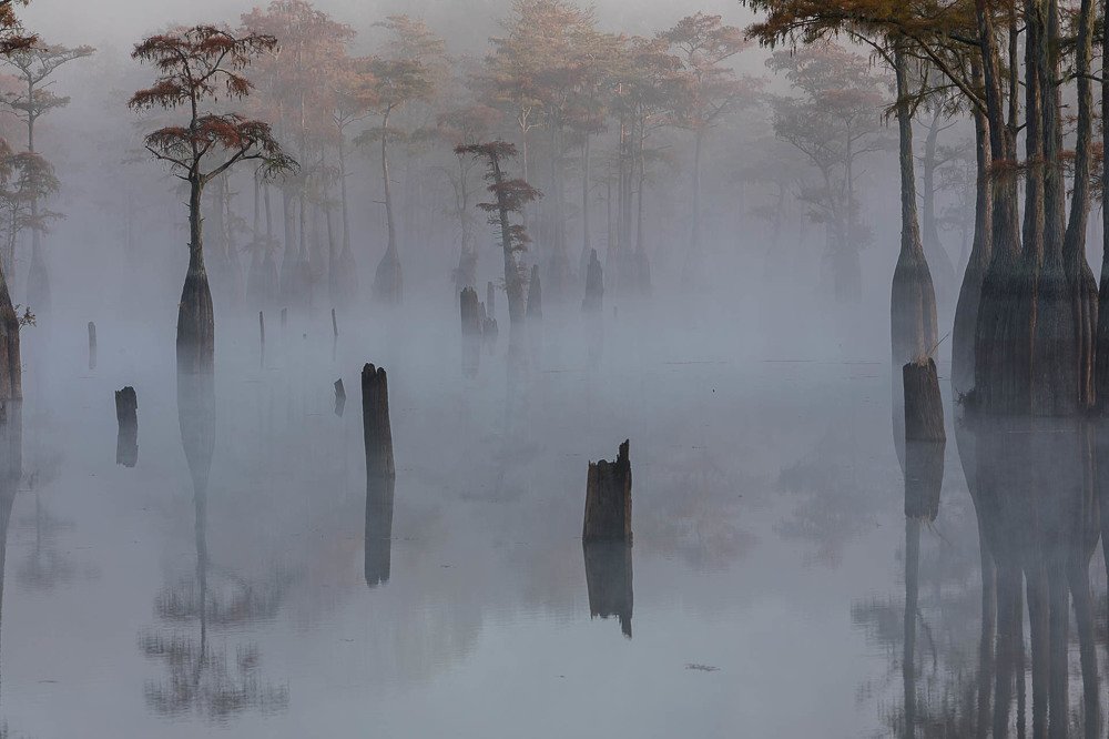 Фотография автора Марина Маликова