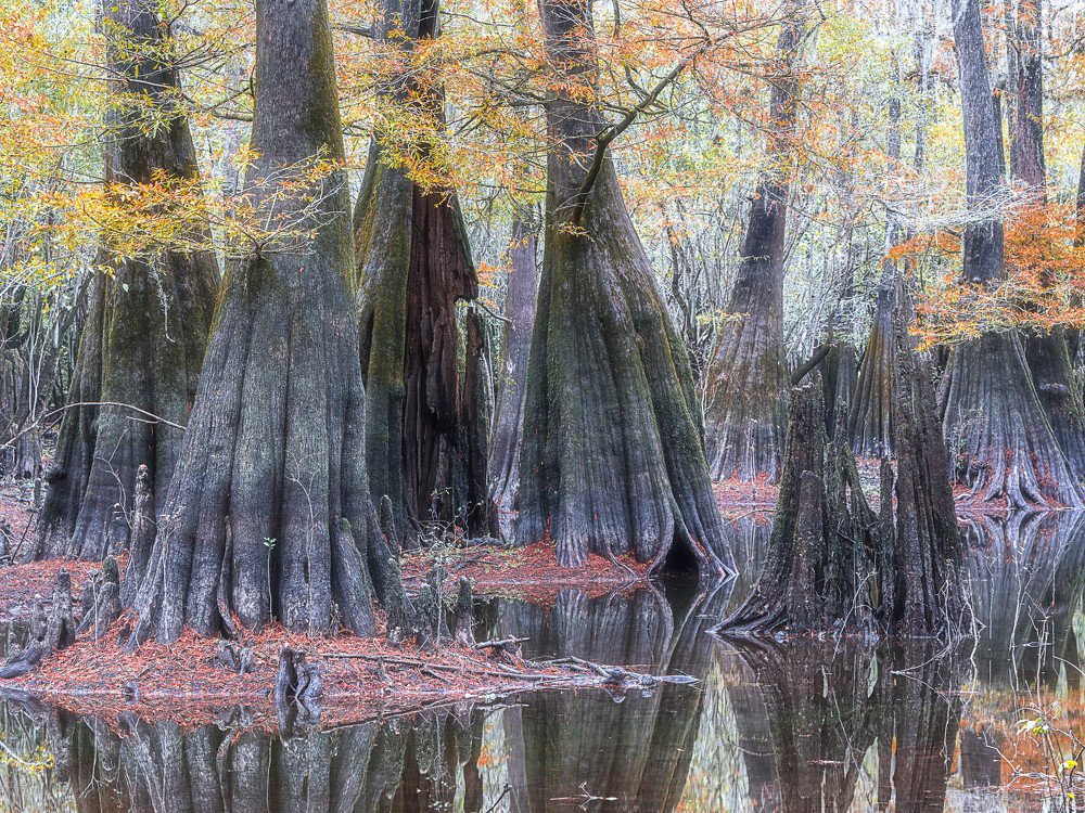 Photograph by Марина Маликова