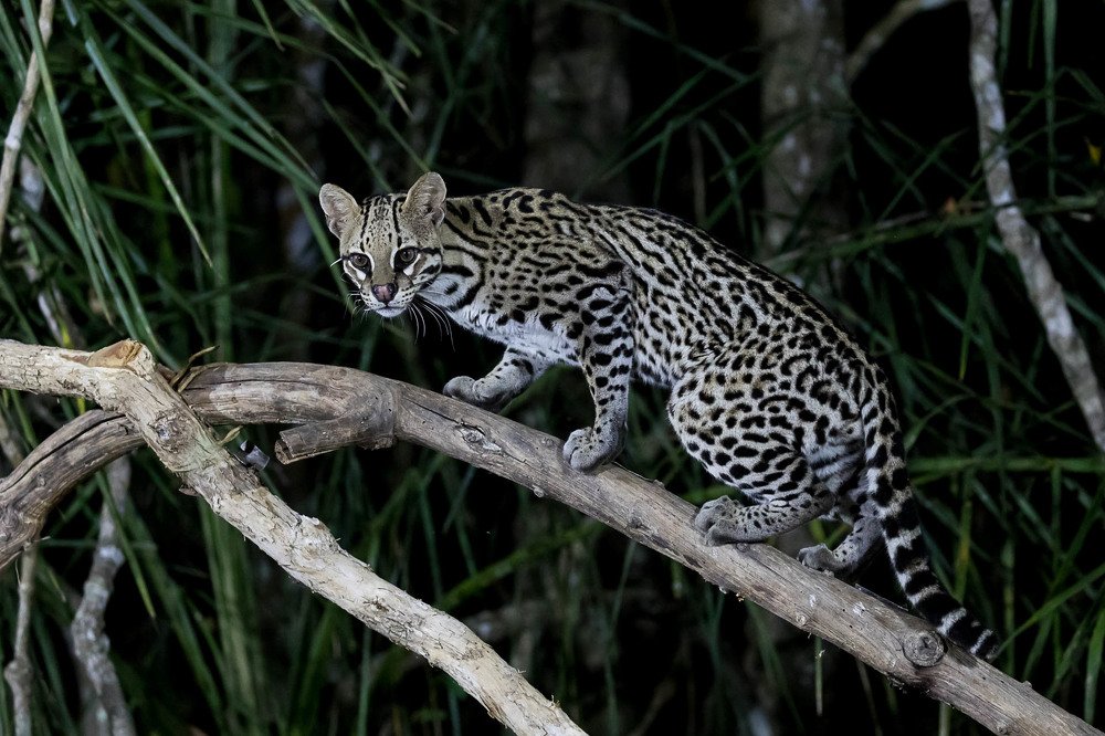 Photograph by Марина Маликова