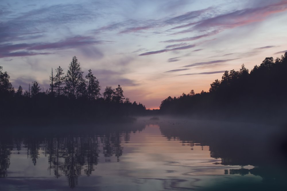 Photograph by Полина Нечаева