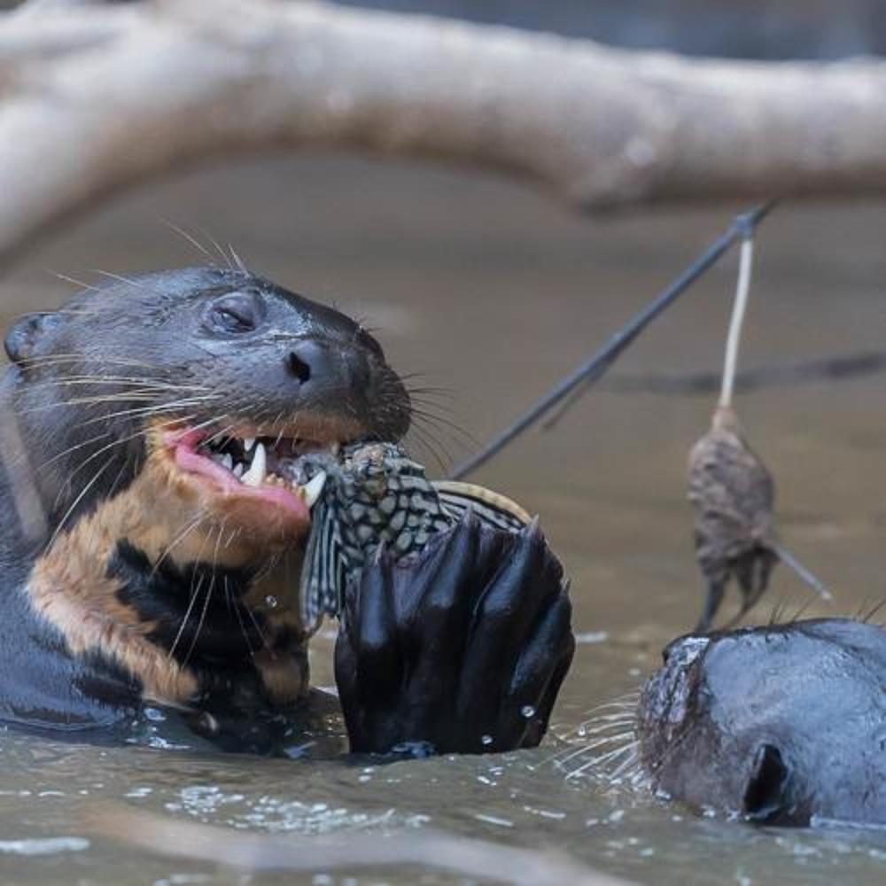 Photograph by Марина Маликова