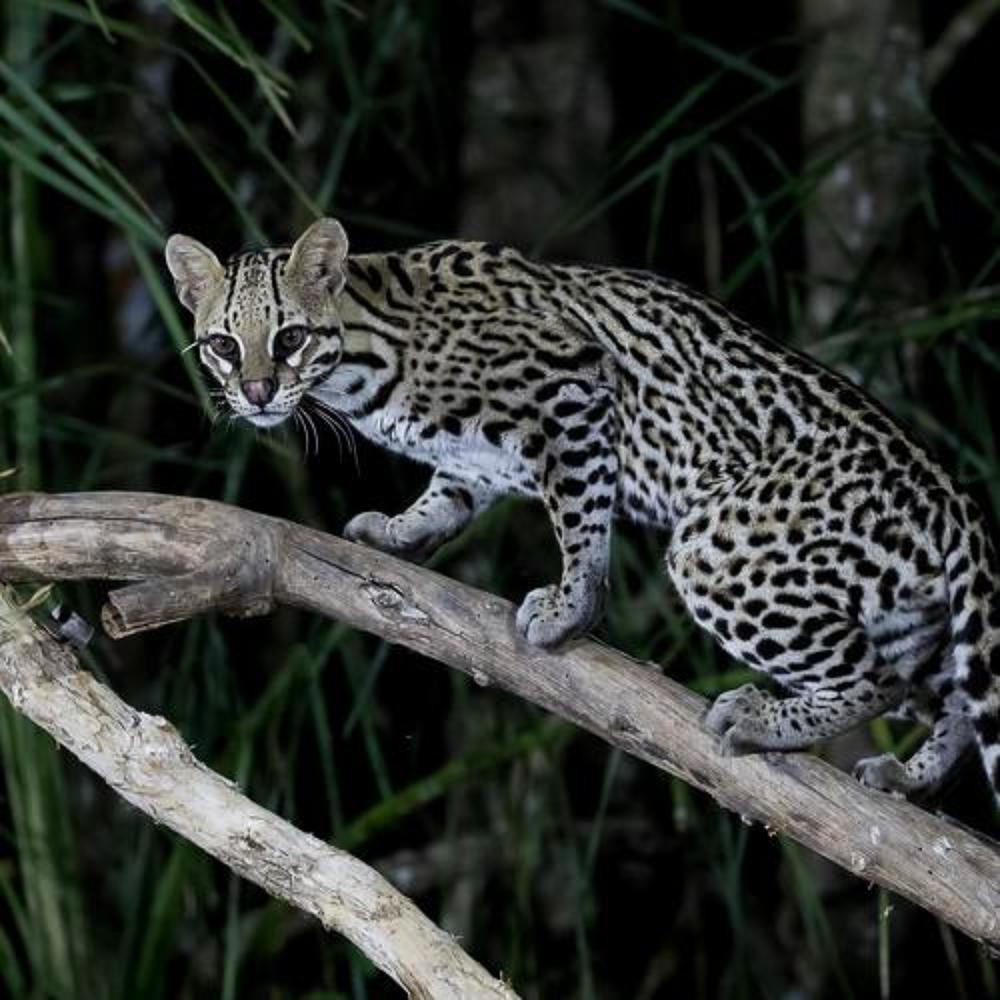 Photograph by Марина Маликова