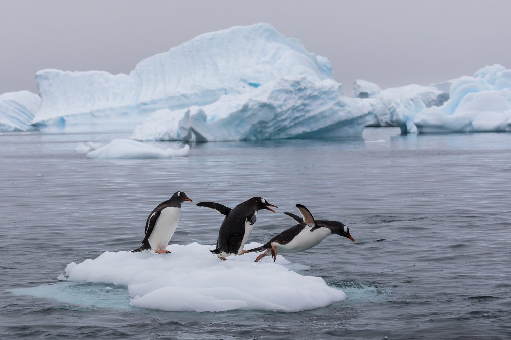 Photograph by Марина Маликова