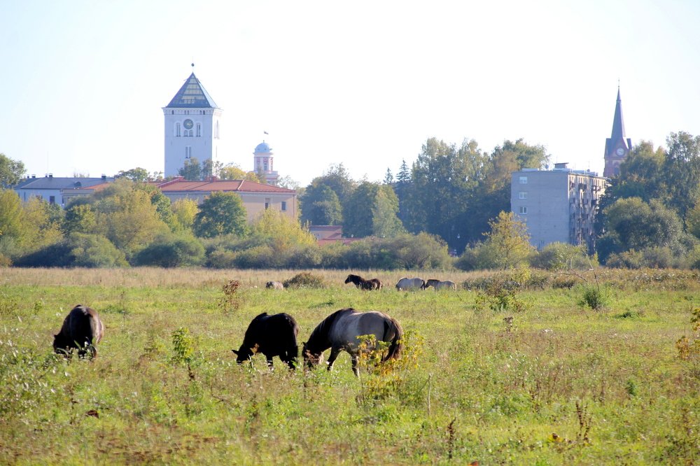 Photograph by Игорь Санюк