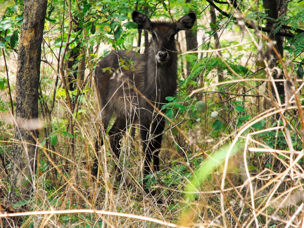 Photograph by Anthony Kabanda