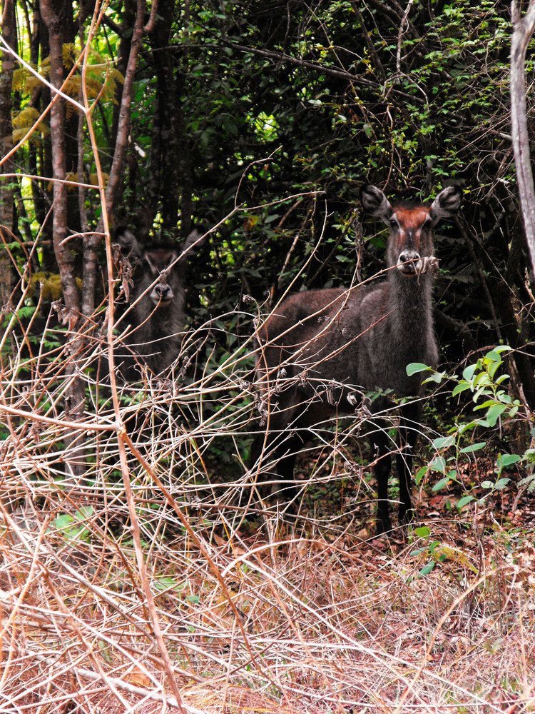 Photograph by Anthony Kabanda