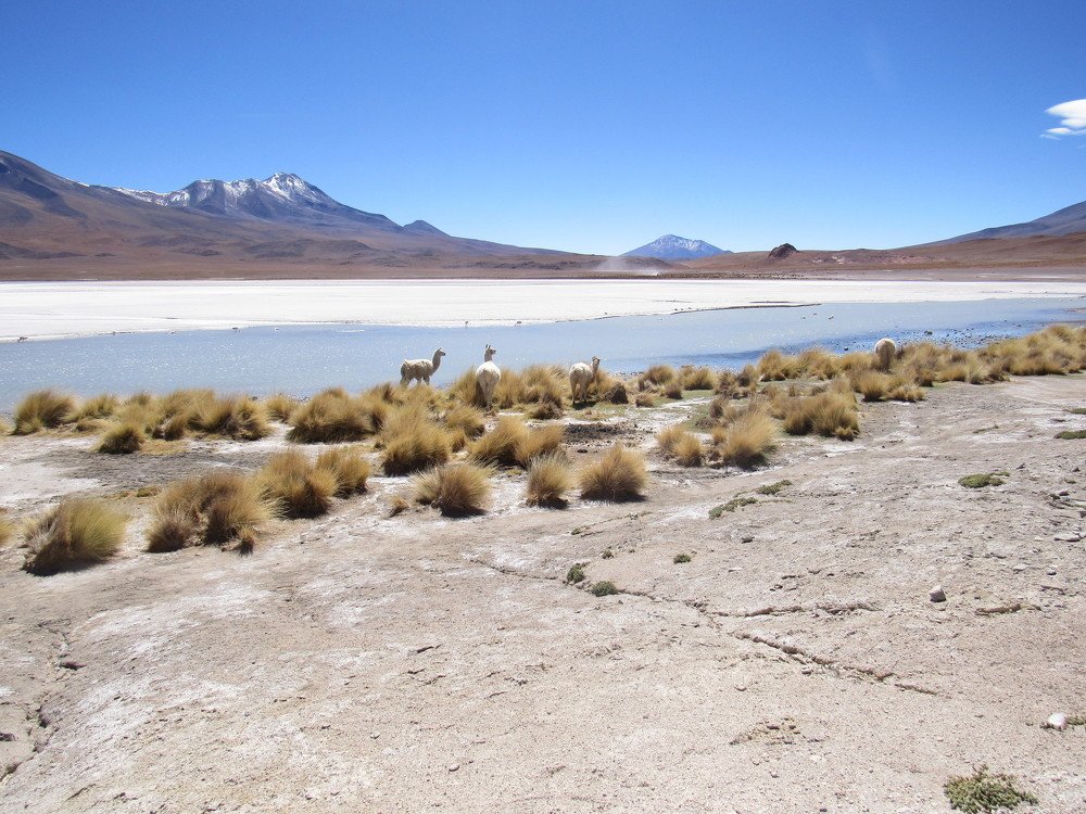 Laguna La Donda - Bolivia