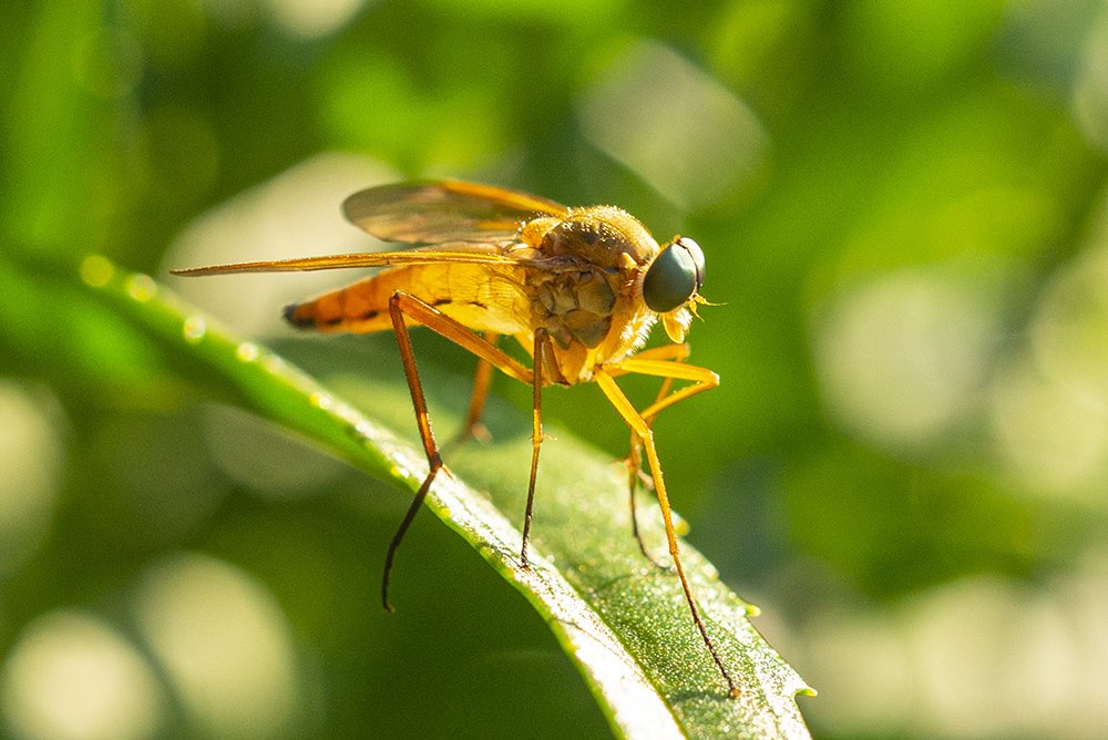 Photograph by Эдуард Шадров