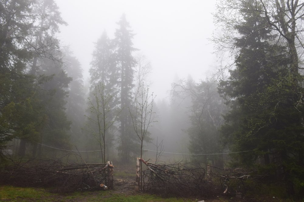 майский туман