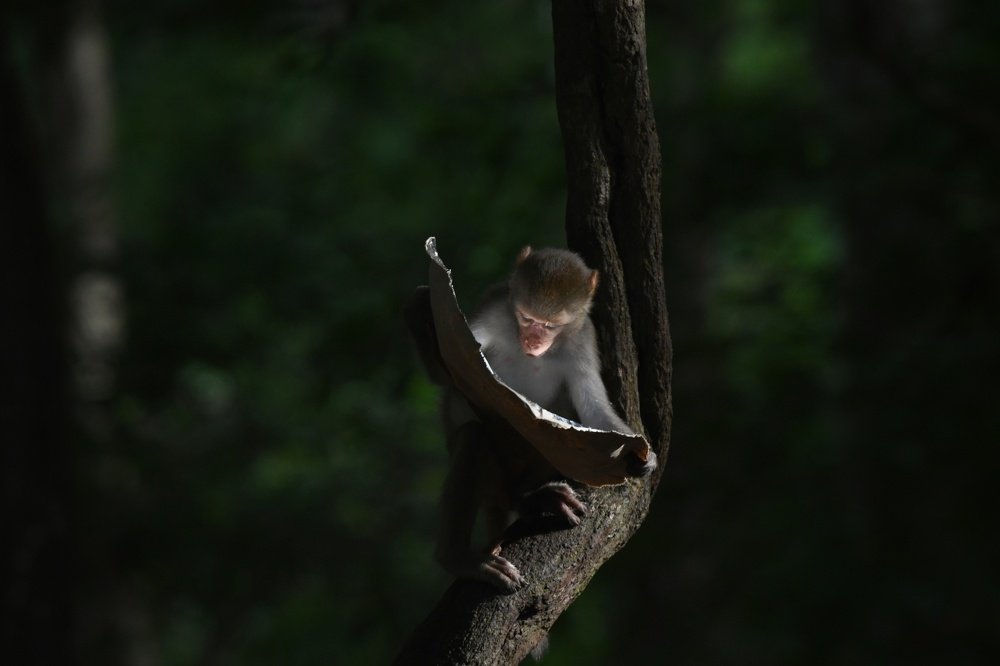 Photograph by Amit Jariwala