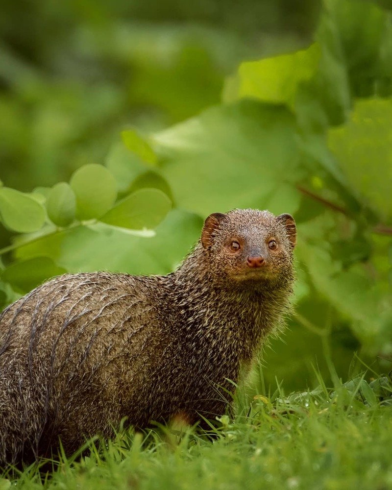 Photograph by Amit Jariwala