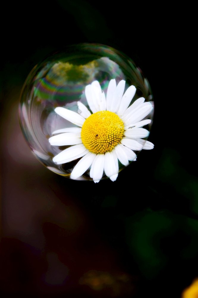 Photograph by Дмитрий Розенбаум