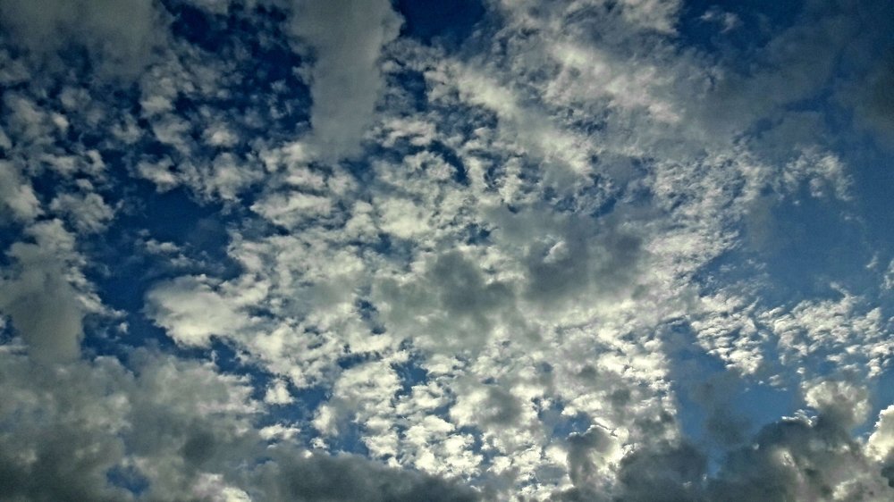 Фотография автора Omar Alammari